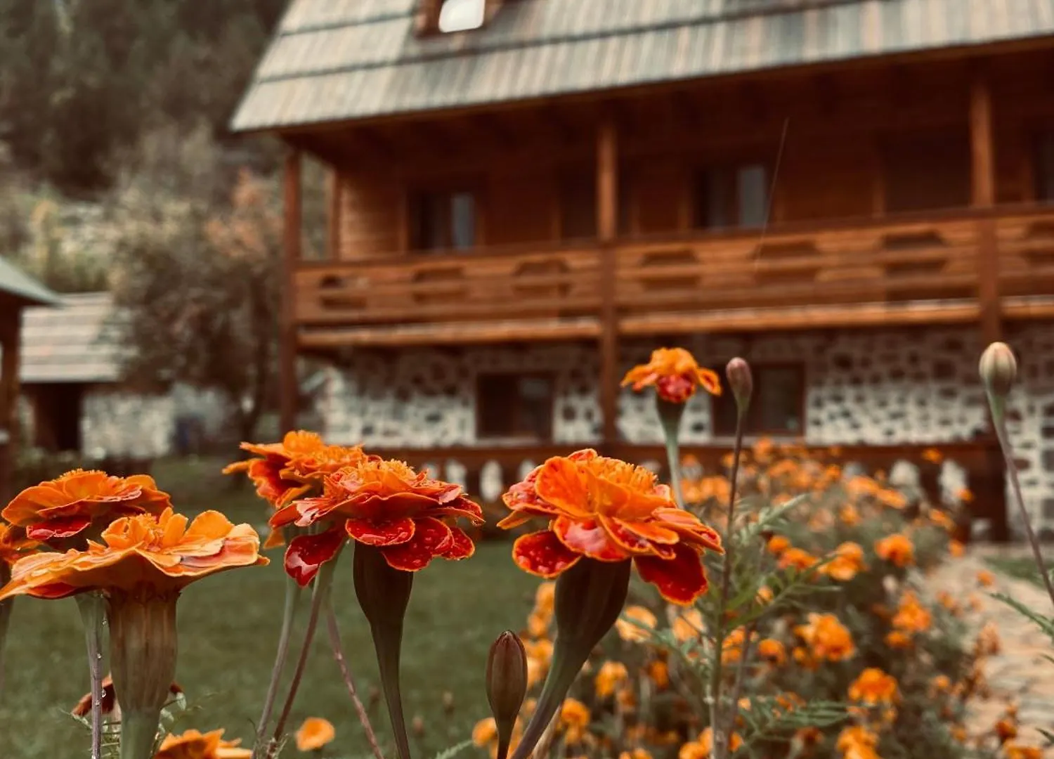 بيت ضيافة Guesthouse Prrockaj ثيث
