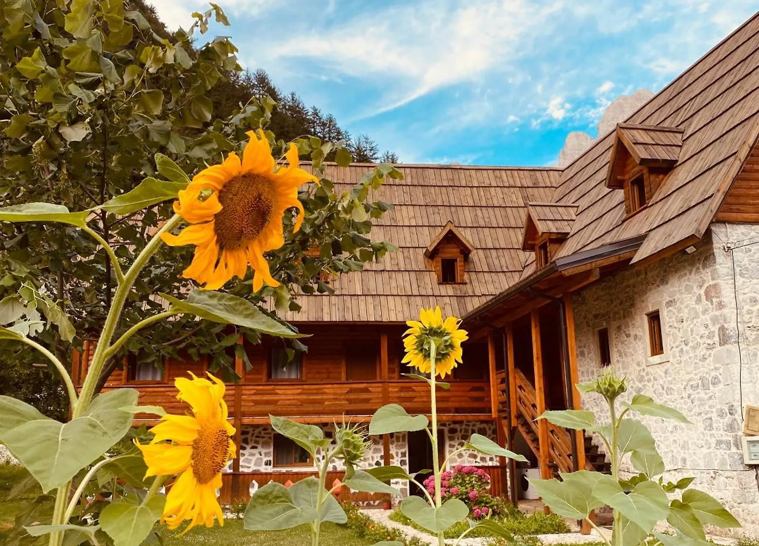 Guesthouse Prrockaj Theth