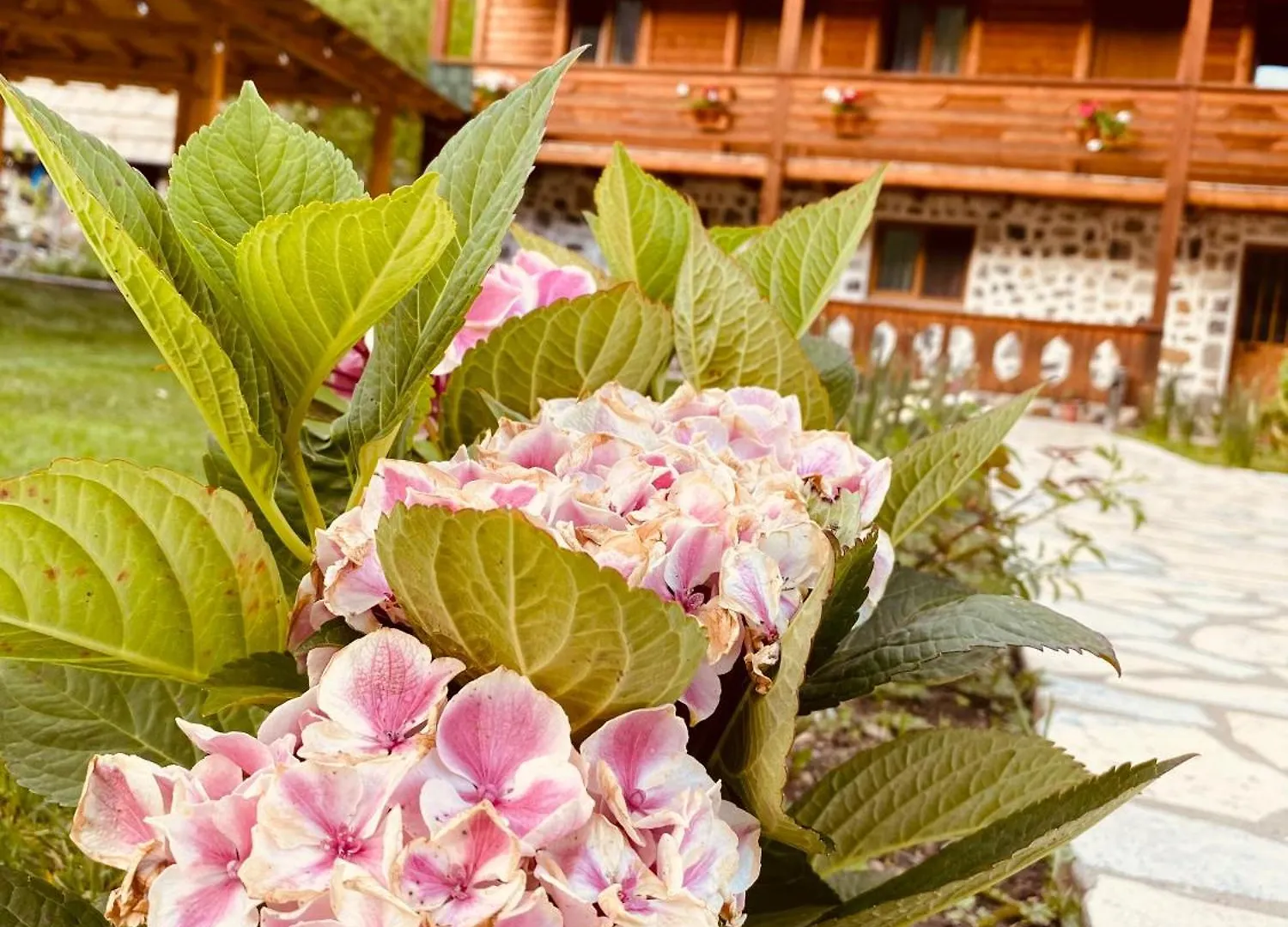 Guesthouse Prrockaj ثيث 0*,  ألبانيا
