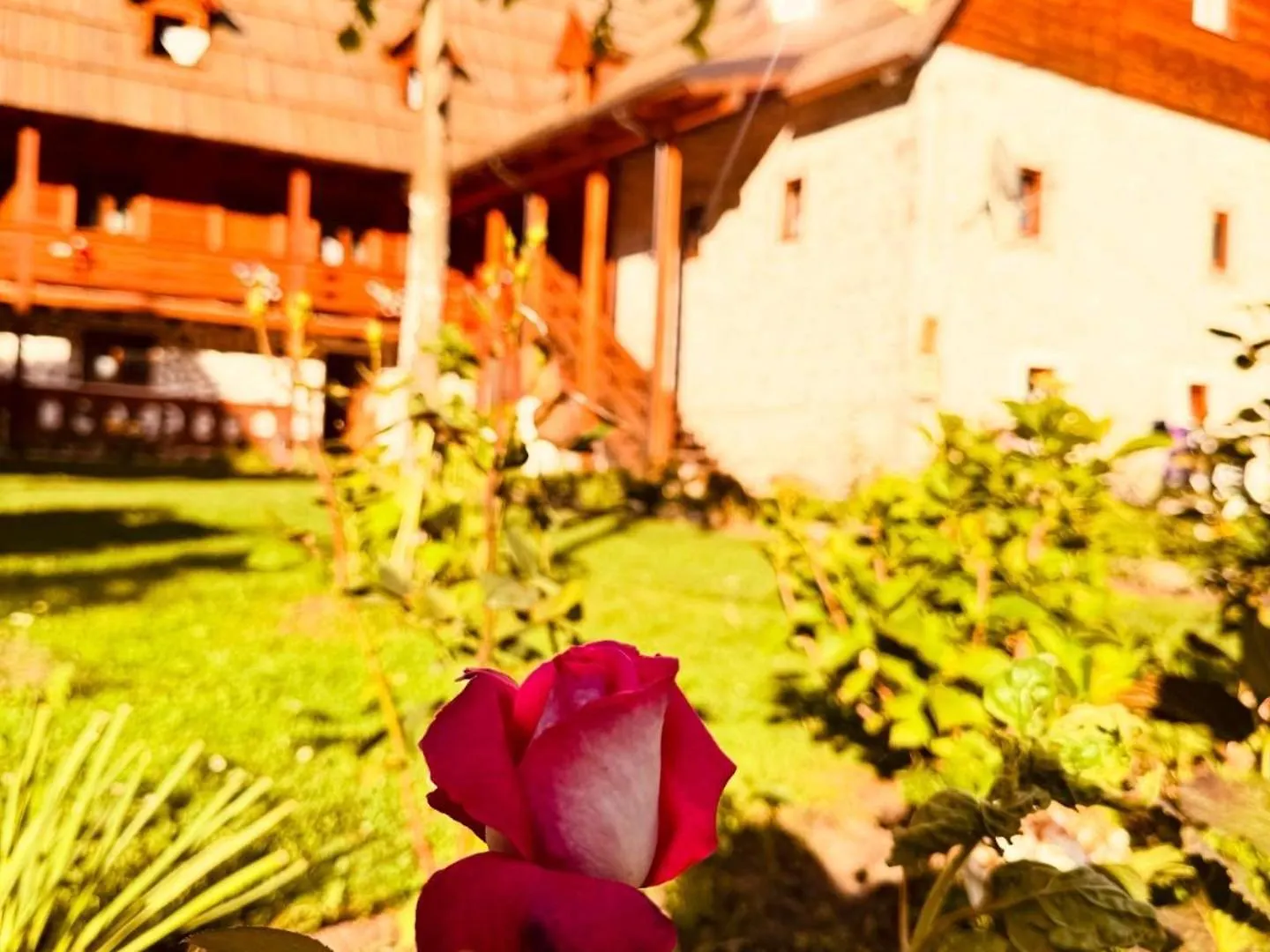 Guesthouse Prrockaj ثيث بيت ضيافة