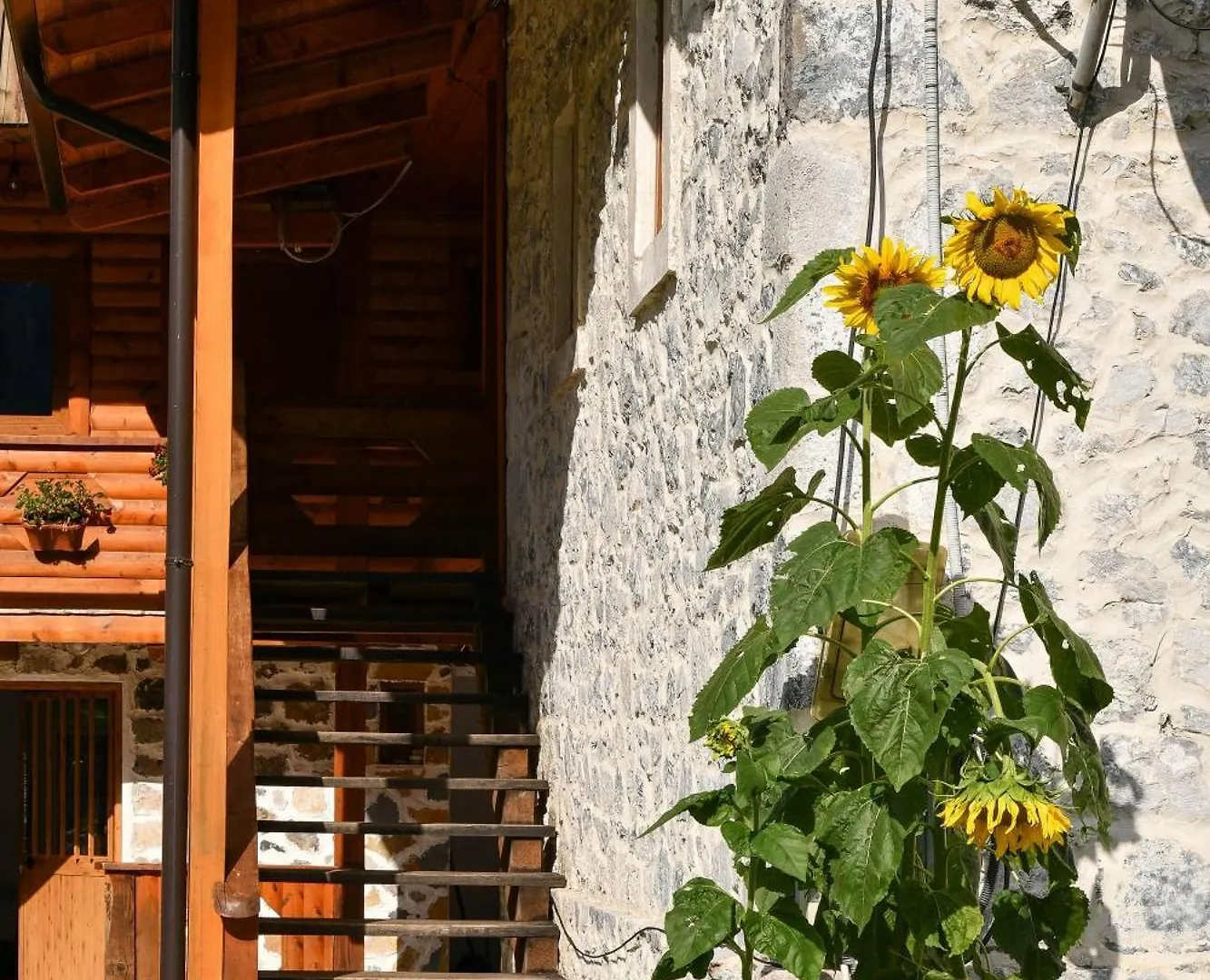 Guesthouse Prrockaj ثيث بيت ضيافة