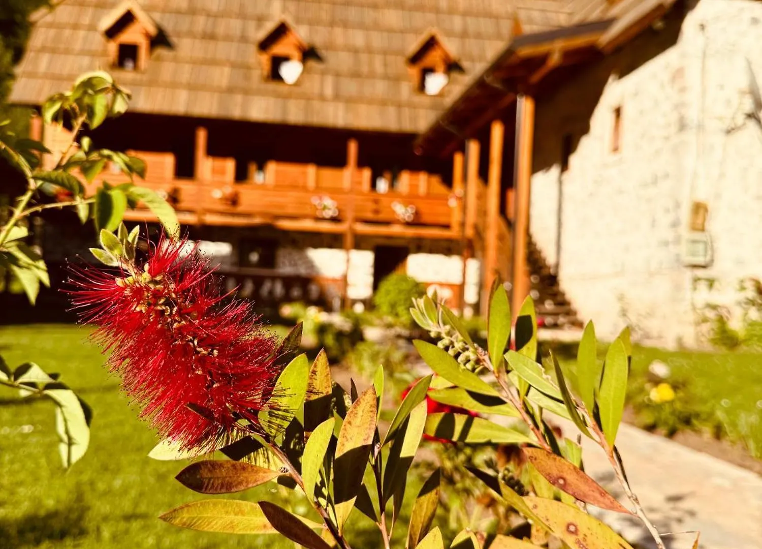 Guesthouse Prrockaj Theth Pensjonat